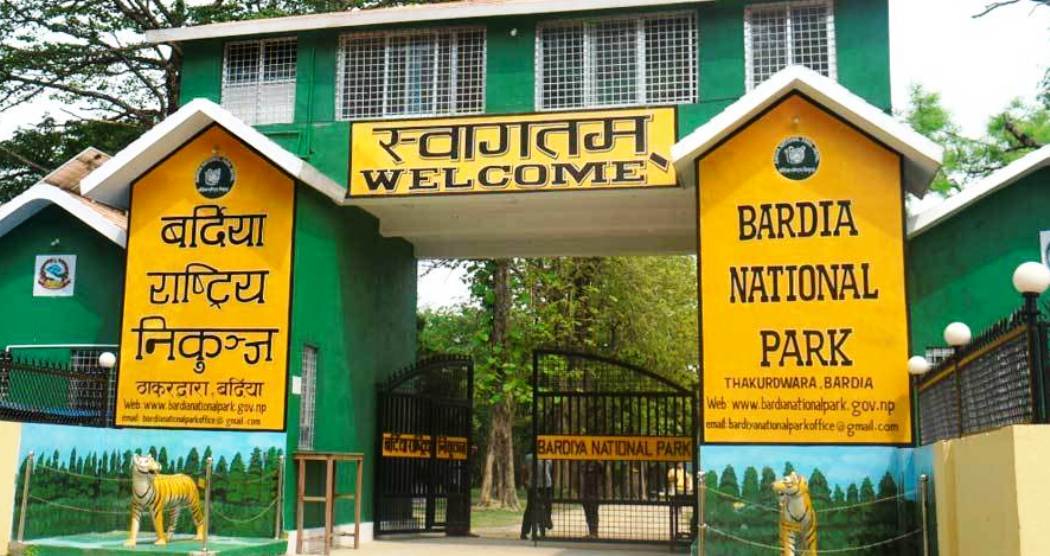 चितवनमा बाघको आक्रमणबाट चितवनमा एक जनाको मृत्यु